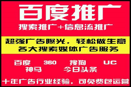 谷歌SEM广告策略：某电商平台的成功逆袭案例